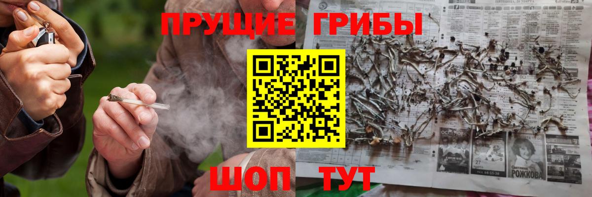 Псилоцибиновые грибы Magic Shrooms  Вход с VPN  Галлюциногенные грибы GOLDEN TEACHER  Асино 